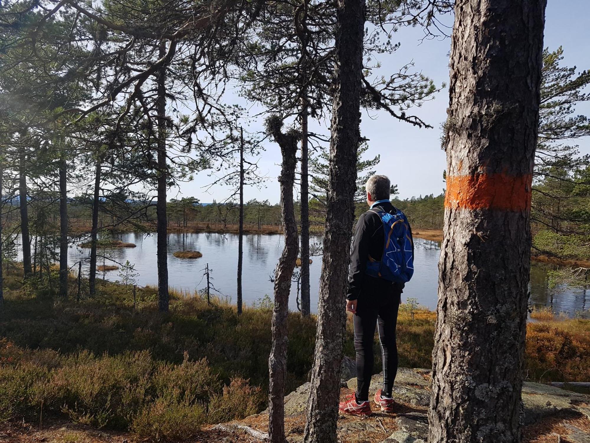 Ulvsby Herrgard Sunne Exteriér fotografie